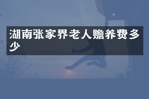 湖南张家界老人赡养费多少