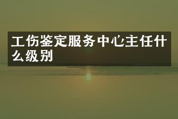 工伤鉴定服务中心主任什么级别