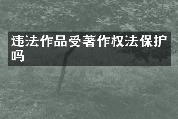 违法作品受著作权法保护吗