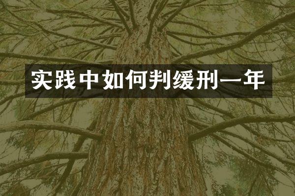 实践中如何判缓刑一年