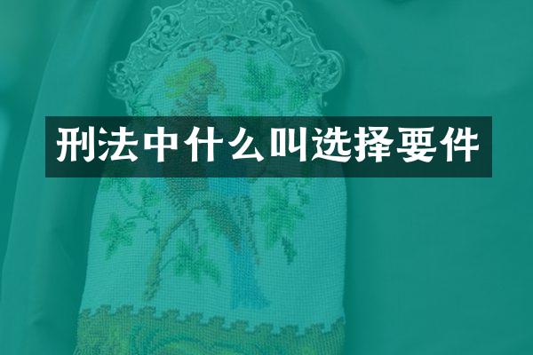 刑法中什么叫选择要件