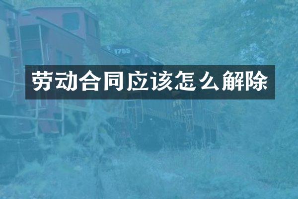 劳动合同应该怎么解除