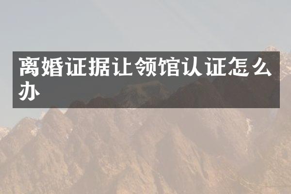 离婚证据让领馆认证怎么办