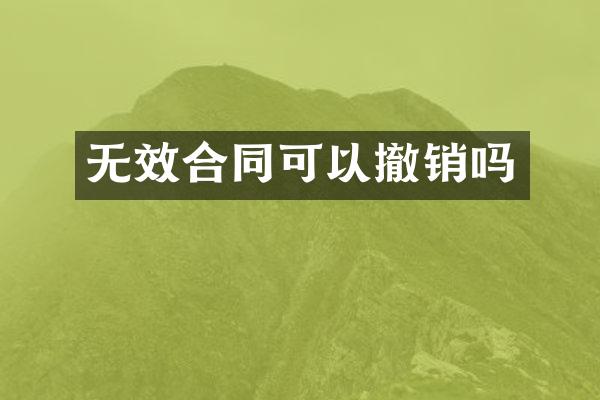 无效合同可以撤销吗