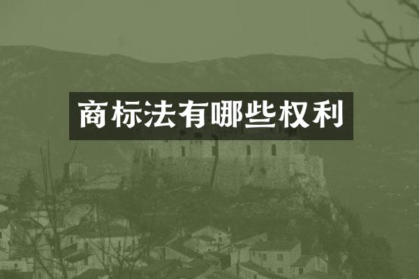 商标法有哪些权利