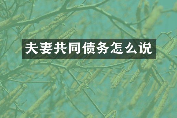 夫妻共同债务怎么说