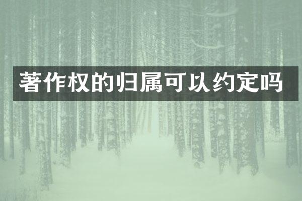 著作权的归属可以约定吗