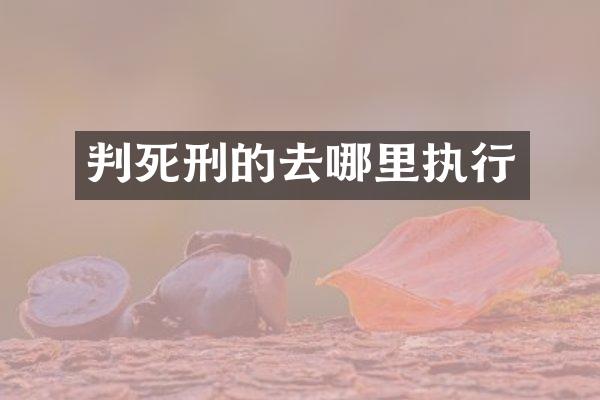 判死刑的去哪里执行