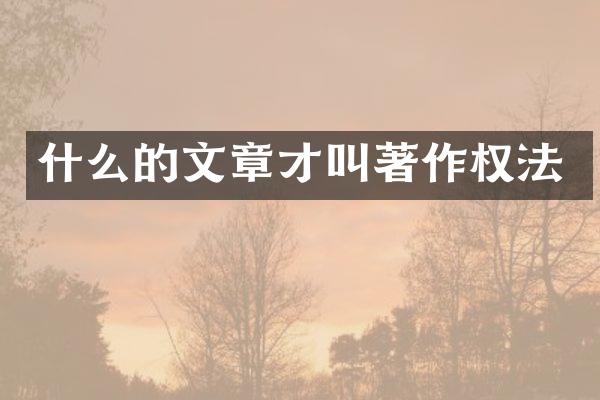 什么的文章才叫著作权法