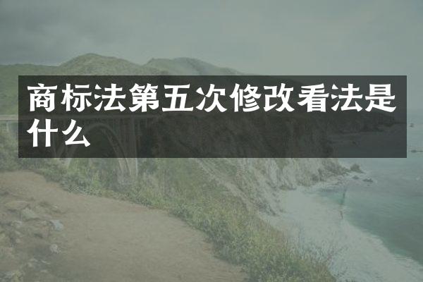 商标法第五次修改看法是什么