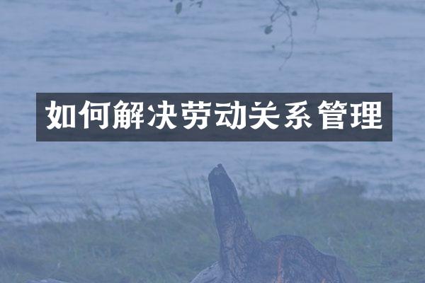 如何解决劳动关系管理