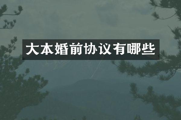 大本婚前协议有哪些