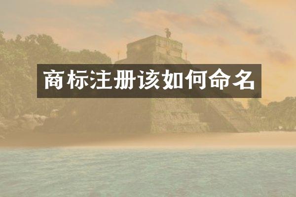 商标注册该如何命名
