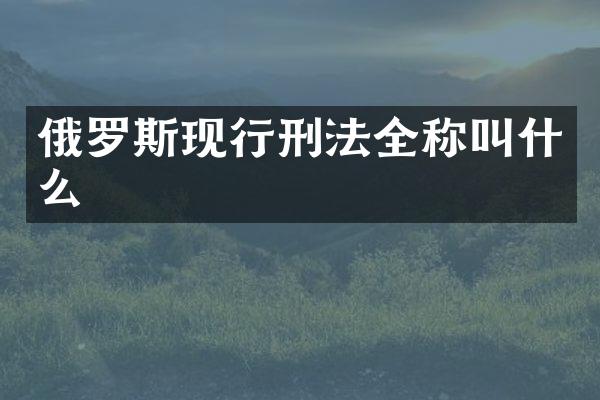 俄罗斯现行刑法全称叫什么
