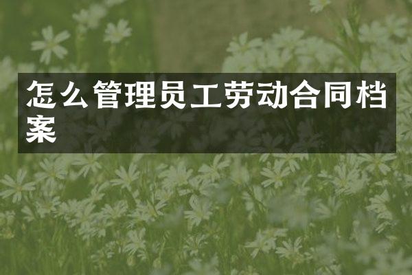 怎么管理员工劳动合同档案
