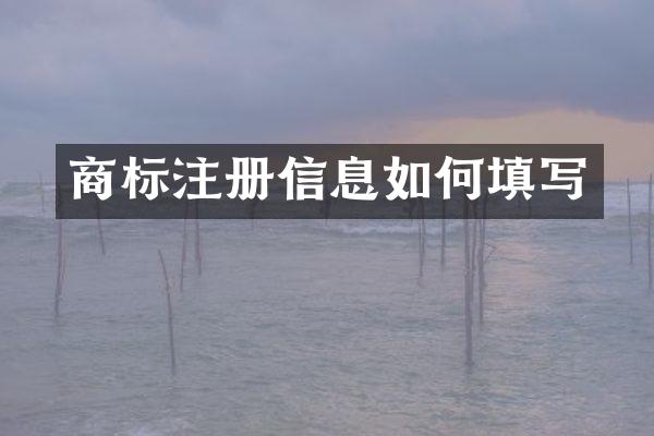 商标注册信息如何填写