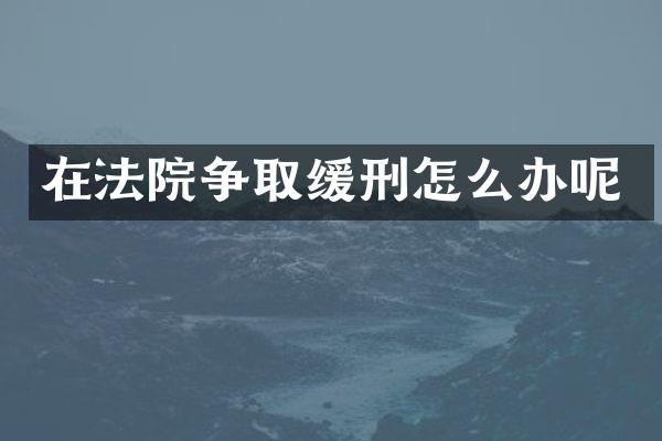 在法院争取缓刑怎么办呢