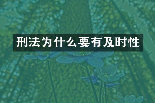 刑法为什么要有及时性