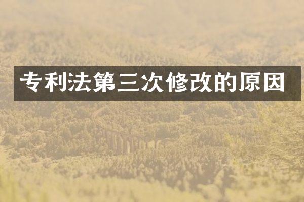 专利法第三次修改的原因