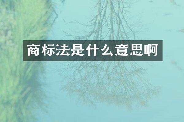 商标法是什么意思啊