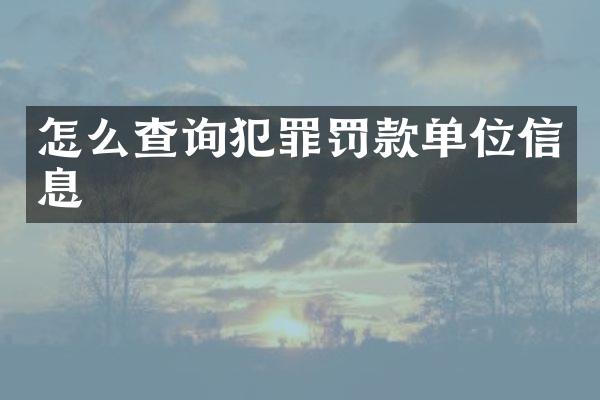 怎么查询犯罪罚款单位信息