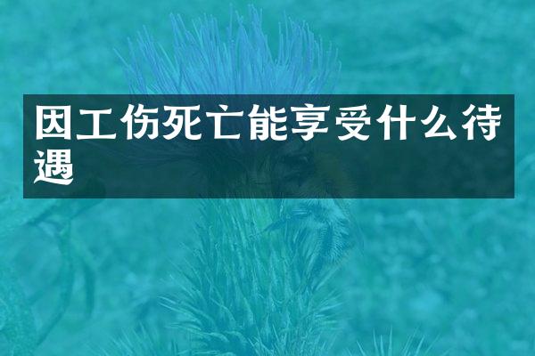 因工伤死亡能享受什么待遇