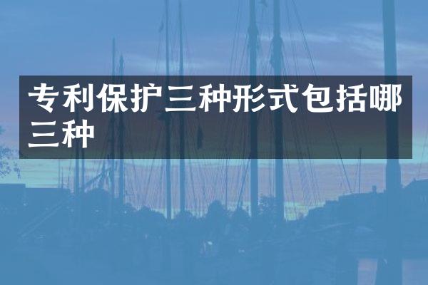 专利保护三种形式包括哪三种