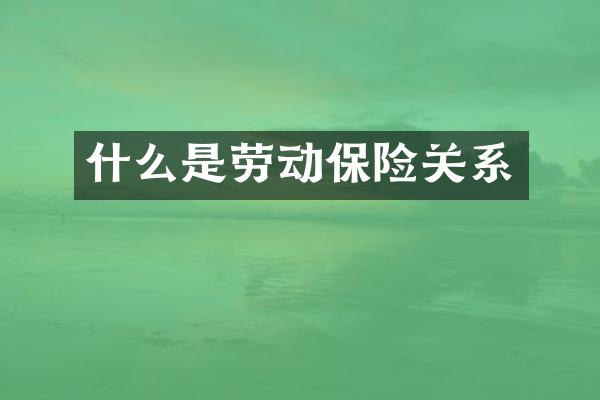 什么是劳动保险关系