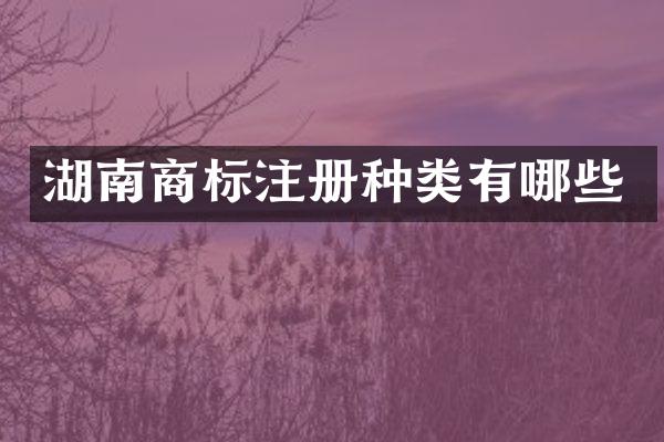 湖南商标注册种类有哪些
