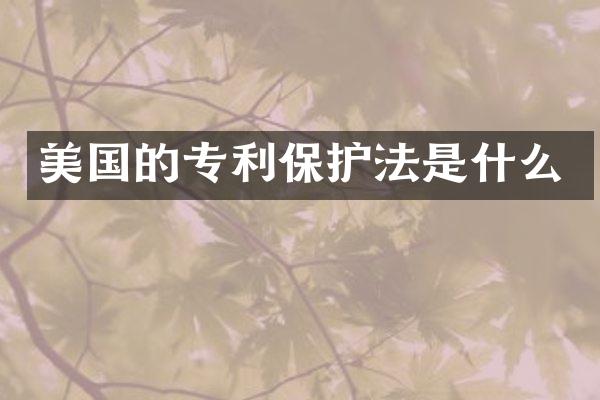 美国的专利保护法是什么