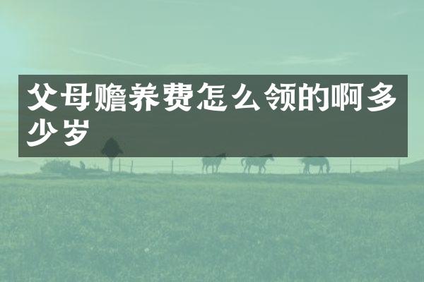 父母赡养费怎么领的啊多少岁