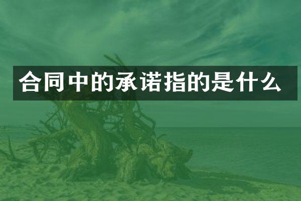 合同中的承诺指的是什么