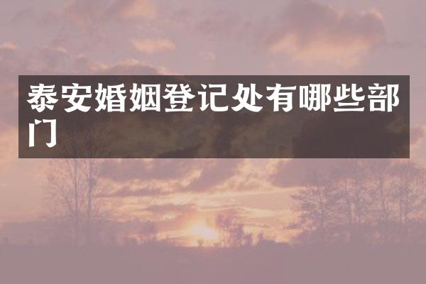 泰安婚姻登记处有哪些部门
