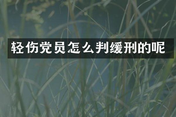 轻伤党员怎么判缓刑的呢