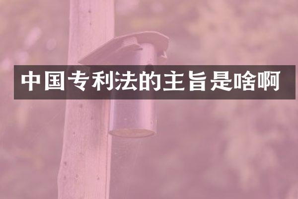 中国专利法的主旨是啥啊