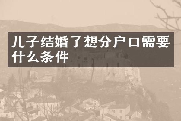 儿子结婚了想分户口需要什么条件